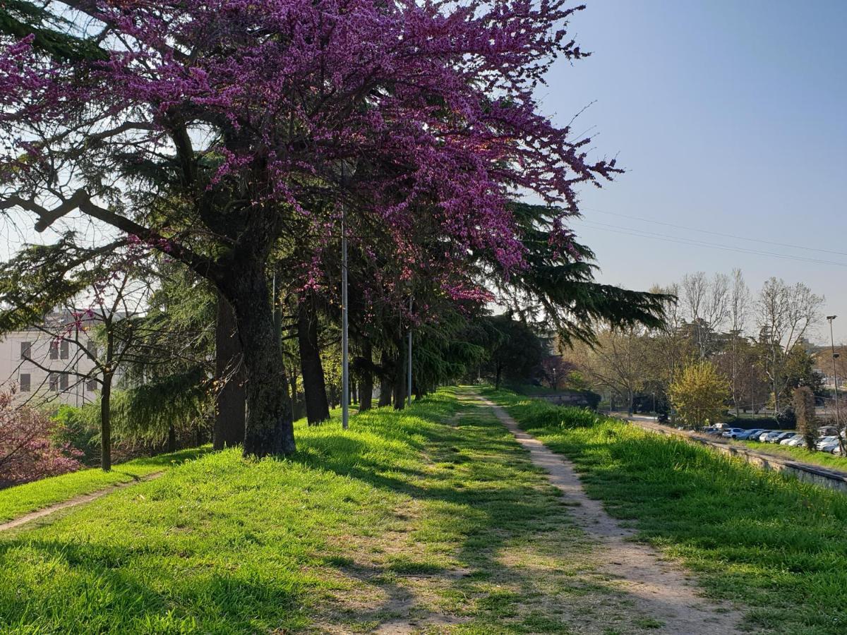 Apartamento Divina San Zeno Verona Exterior foto